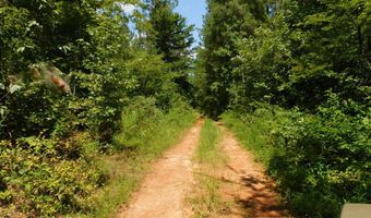 98 63 AC Pointer Rd, Alton, VA 24520