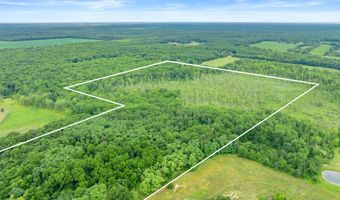 65 Acres 107th Ave, Allegan, MI 49010
