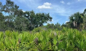 4183 E 27th St, Alva, FL 33920