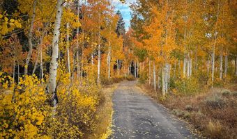 12490 E OLD STAGE Rd, Brighton, UT 84121