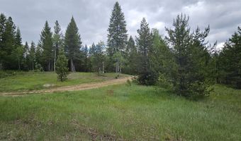 23 Sawtooth Loop, Cascade, ID 83611