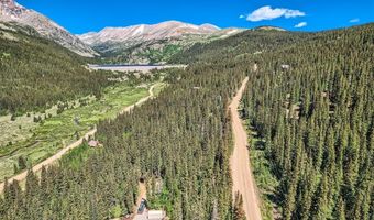 553 NUTHATCH Dr, Alma, CO 80440