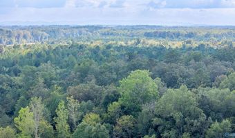 77 Acres Wilson St, Attalla, AL 35954