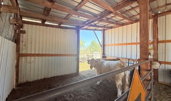 137 Las Palomas Canyon Rd, Caballo, NM 87942