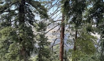 636 Mountain Center 35-0002, Mountain Center, CA 92561