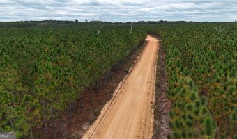 Penny Morris Road, Baxley, GA 31513