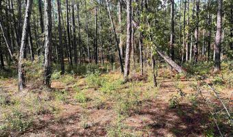 0 State Highway 225, Bay Minette, AL 36507