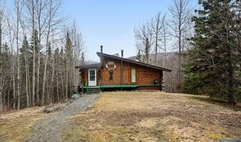 15868 N Fish Lake Rd, Chickaloon, AK 99674