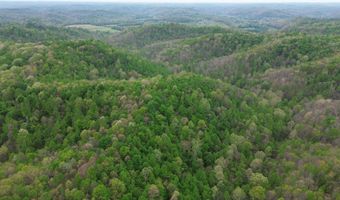 694 A Tunnel Ridge Rd, Argillite, KY 41121