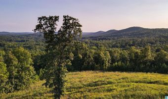 200 TABLEE LANE Lot 17.65, Ashland, AL 36251