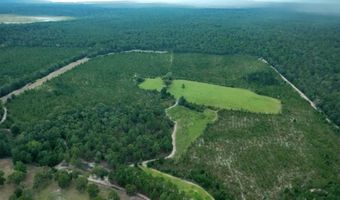 4601 Seven Pines Rd Lot 4 & 1, Barnwell, SC 29812