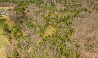 forest Road, Alstead, NH 03602