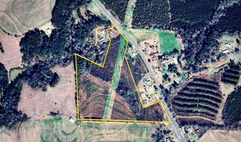 20 Ac State Hwy 95 Columbia Rd, Abbeville, AL 36310