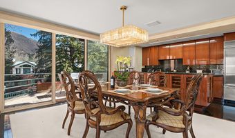208 S Spring St #1, Aspen, CO 81611