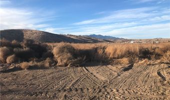 Quarter Horse, Caliente, NV 89008