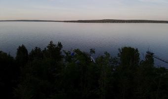 3206 Hidden Ridge Rd, Alanson, MI 49706