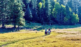 27502 US Highway 64 Roadrunner Tours, Angel Fire, NM 87710