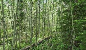 TRACT 14 SPRING HOLLOW ROAD, Daniel, WY 83115