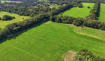 10222 NW 173RD St, Alachua, FL 32615
