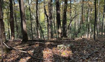 345 Christa Ln, Arden, NC 28704