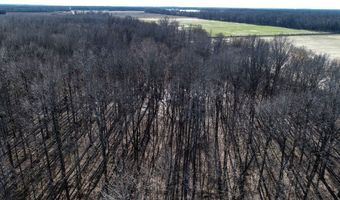 6075 Curtis Rd, Batesville, MS 38606