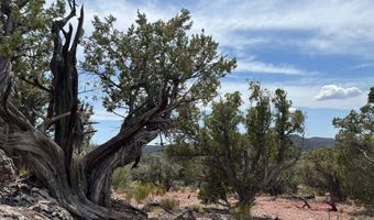 488 B & C Scorpion, Ash Fork, AZ 86320