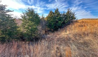 E0110 Rd, Alva, OK 73717