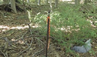 225 Waldo Ave, Belfast, ME 04915