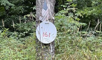 161 Porter Lk, Amasa, MI 49903