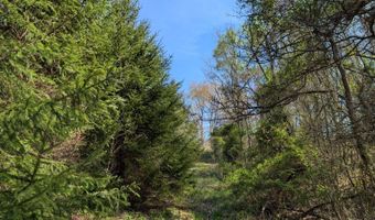 0 Lemaster Rd, Athens, OH 45701
