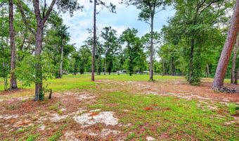 10890 NE 102ND Pl, Archer, FL 32618