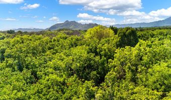 HULUIA RD, Kapaa, HI 96746