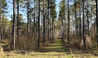 Highway 28, Abbeville, SC 29620