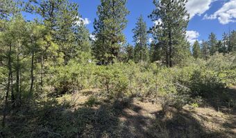 Grizzly Lane 9, Bonanza, OR 97623