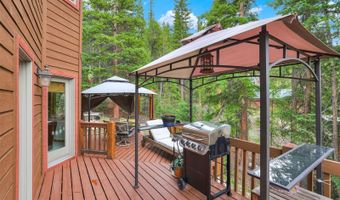 322 Davis Ct, Breckenridge, CO 80424