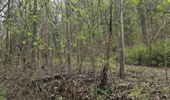 52179 Norman Ave, Attalla, AL 35954