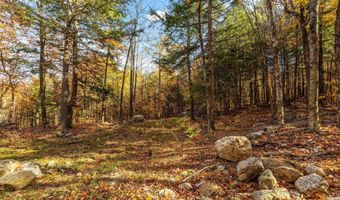 11 13/A/0 High Point Dr, Alton, NH 03810