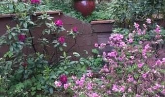 355 Granite St, Ashland, OR 97520