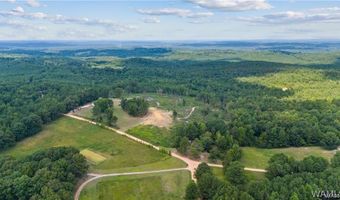 888 New Liberty Rd, Bankston, AL 35542