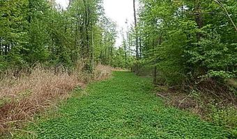 15250 27 Mile Rd, Albion, MI 49224