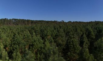 01 Goose Platter Rd, Batesburg, SC 29006