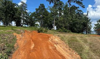 914 LAKESHORE Dr, Abbeville, AL 36310
