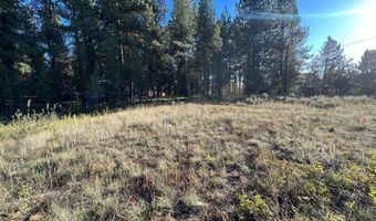 1909 Gold Dust Rd 60, Cascade, ID 83611