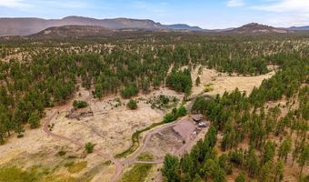 28 County Rd 2310, Alpine, AZ 85920