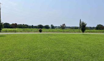 970 Ross Raines, Albertville, AL 35951