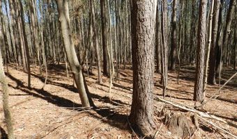 Tbd Oakland Avenue, Asheboro, NC 27205