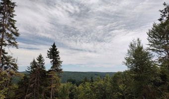 Davis Acres Road, Brookfield, VT 05060