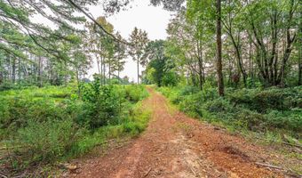 Tract 1 Highway 99, Anderson, AL 35610