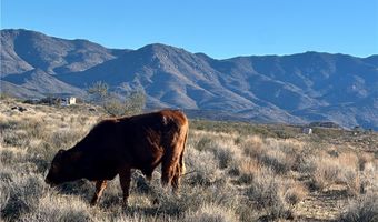 308-12 169 N Lost Mine Dr, Chloride, AZ 86431
