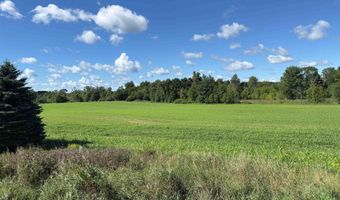 1504 S State, Applegate, MI 48401